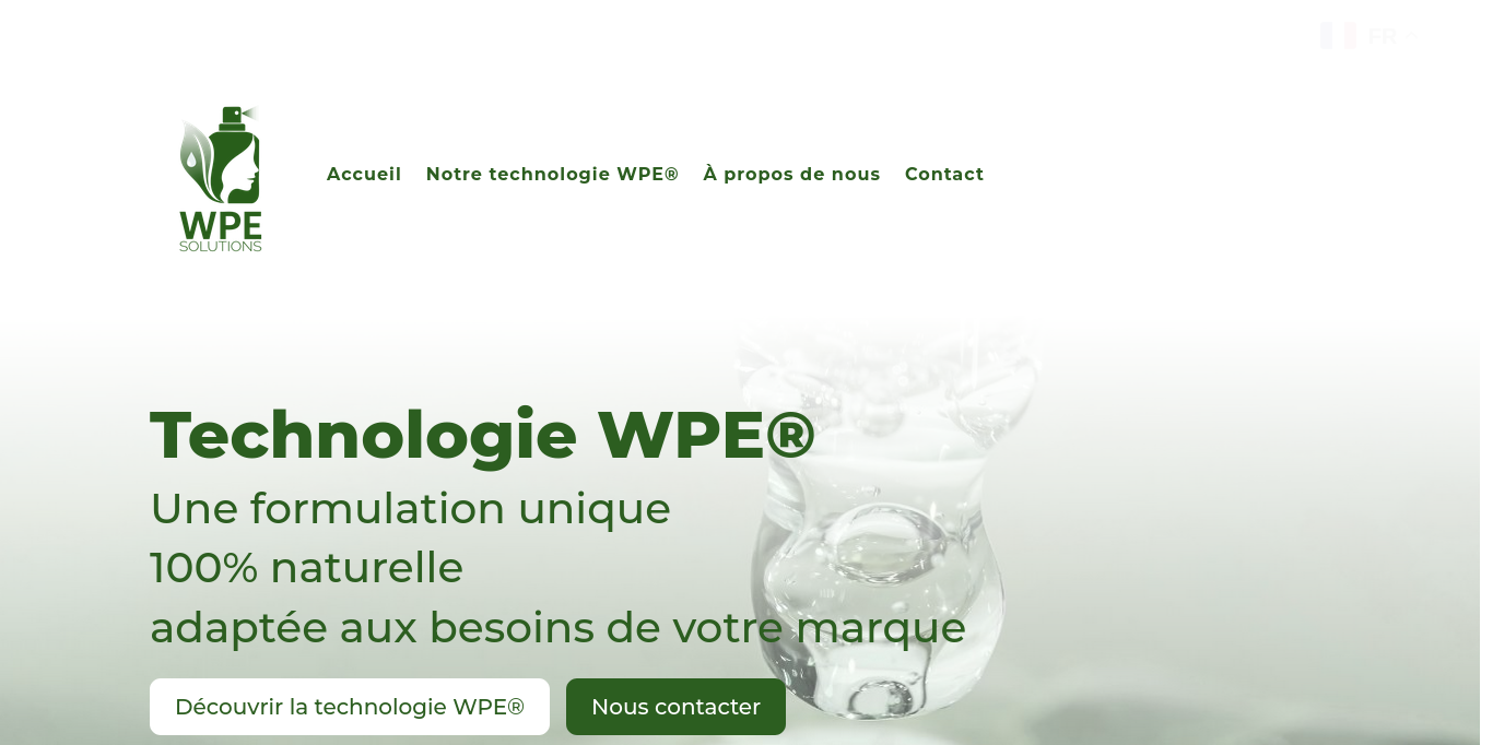 https://wpe-solutions.fr/
