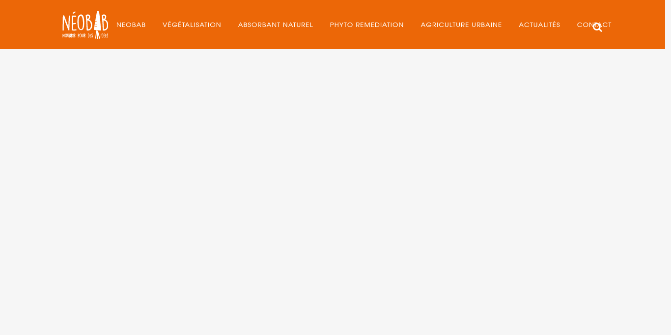 https://neobab.com/