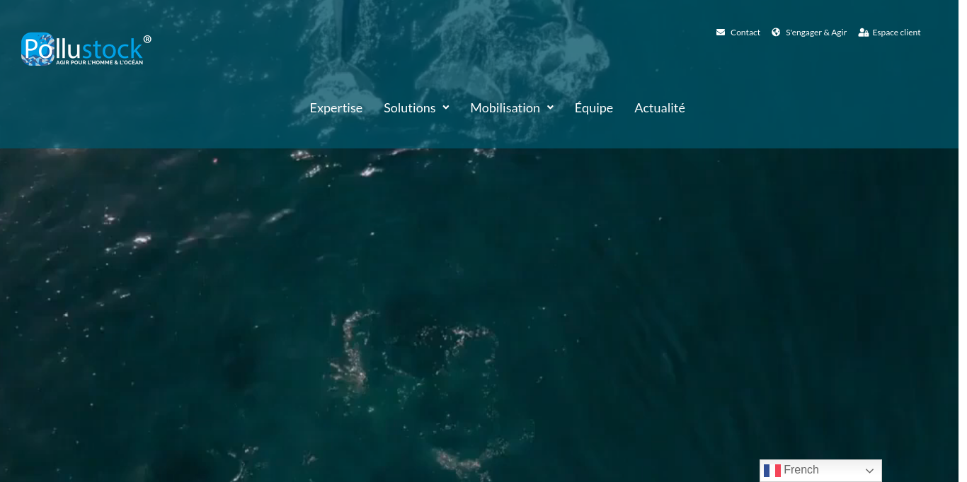 https://pollustock.com/
