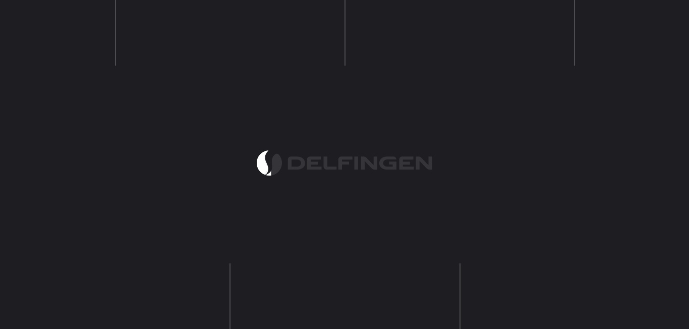 https://delfingen.com/