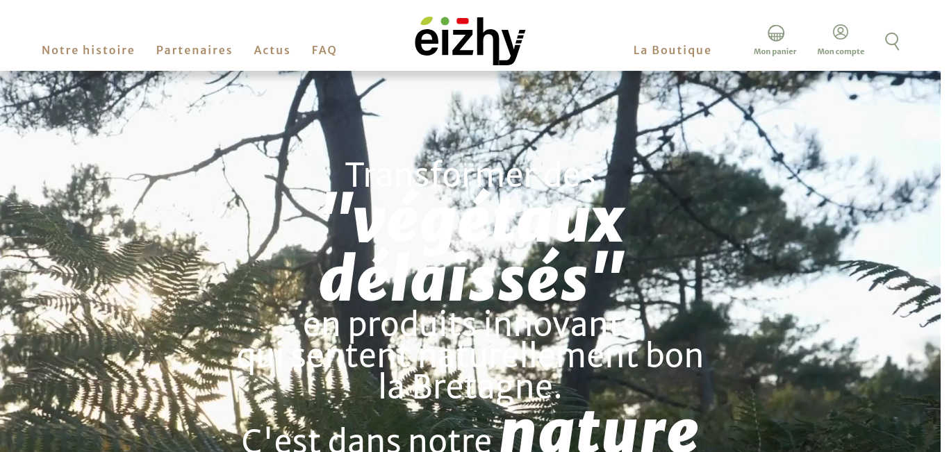 https://www.eizhy.fr/