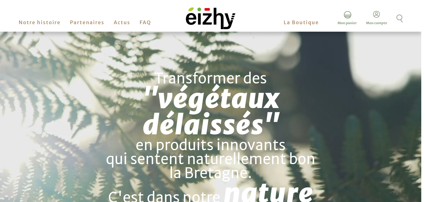 https://www.eizhy.fr/