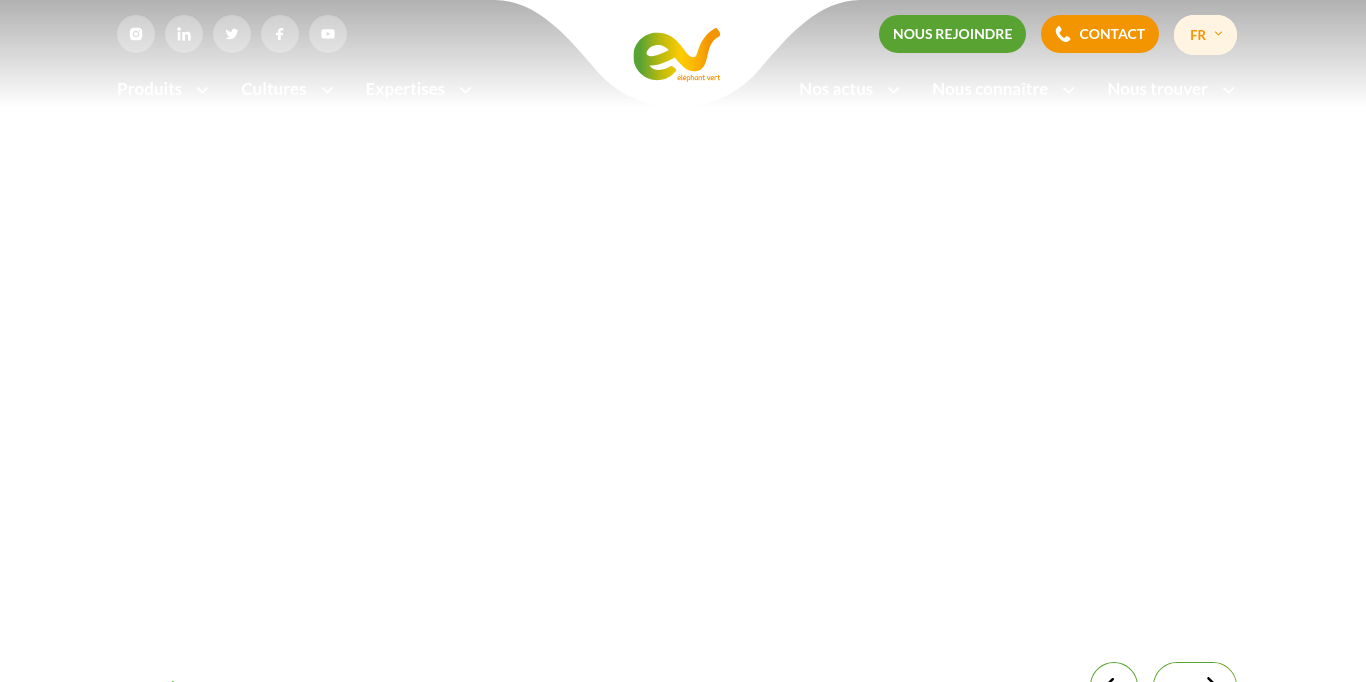 https://www.elephant-vert.com/