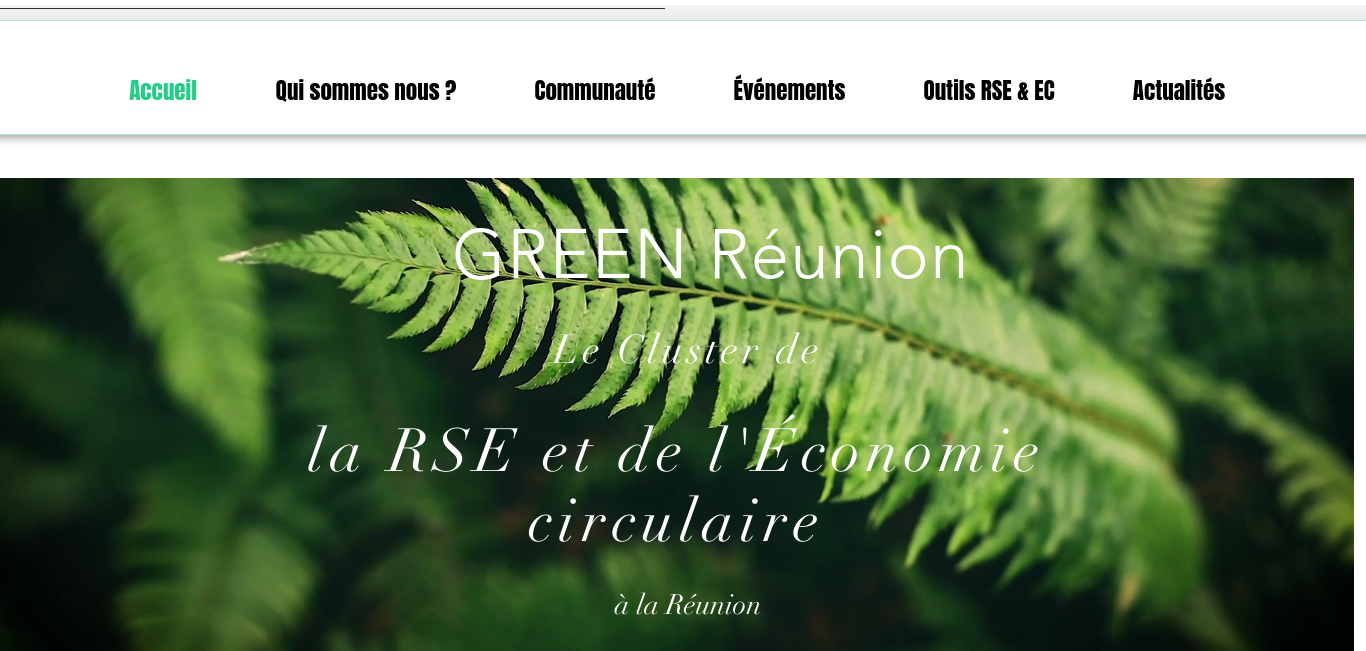 https://www.greenreunion.re/