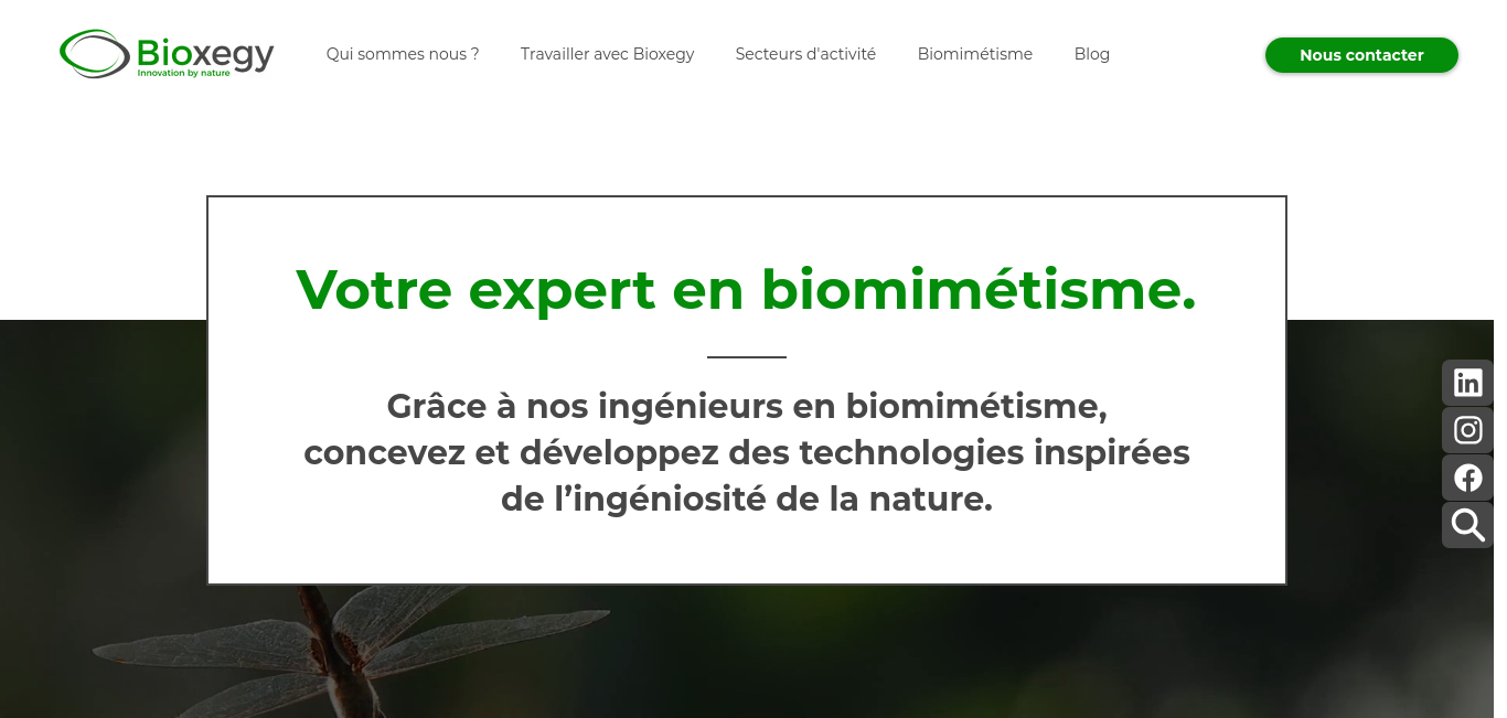 https://www.bioxegy.com/