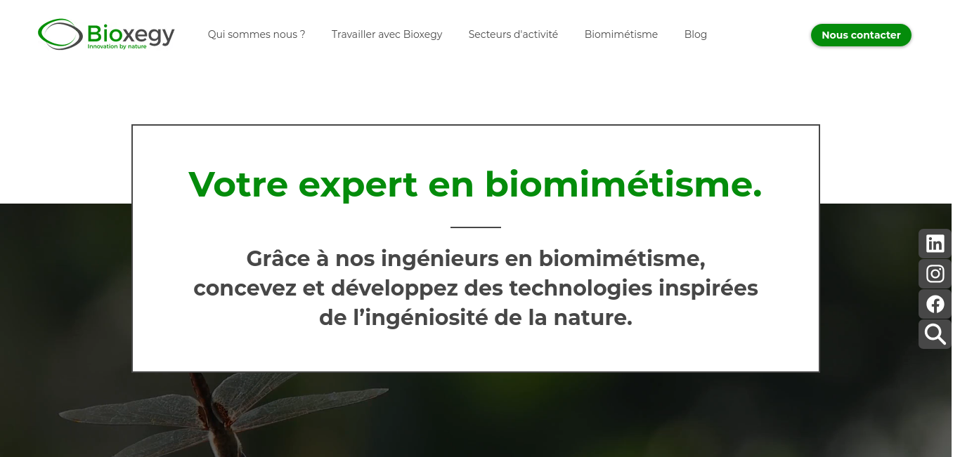 https://www.bioxegy.com/