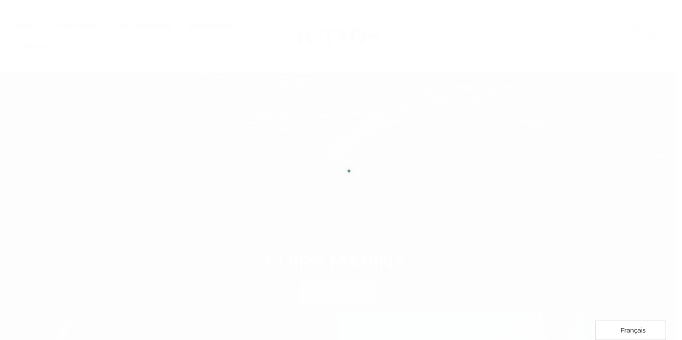https://www.ictyos.com/