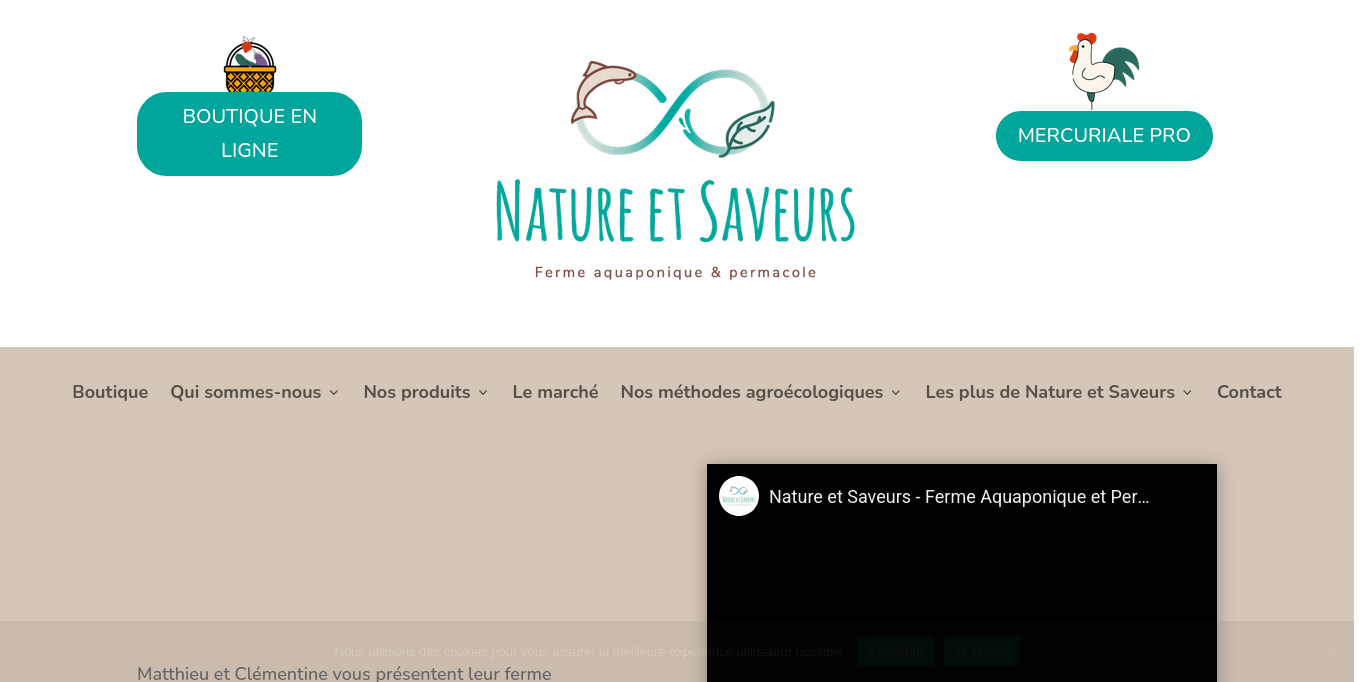 https://nature-et-saveurs.com/