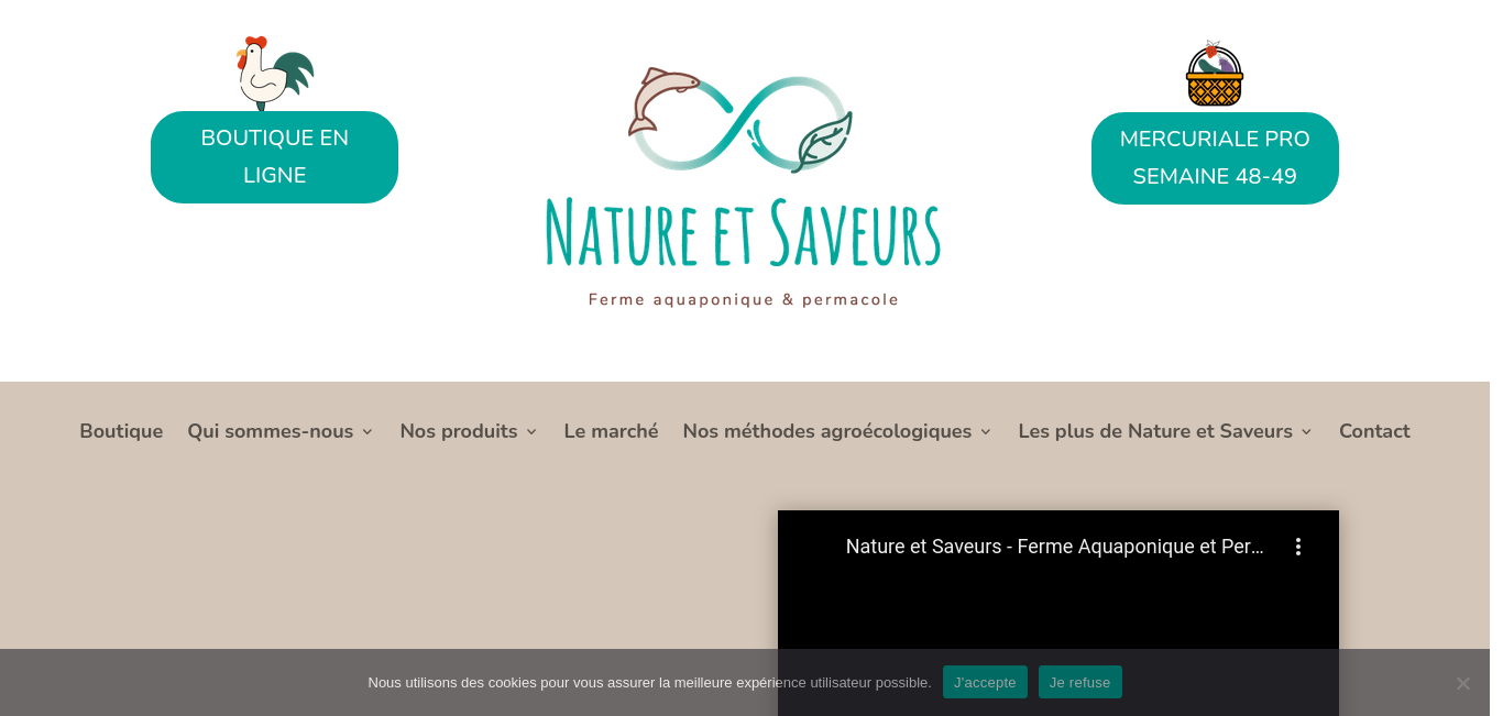 https://nature-et-saveurs.com/