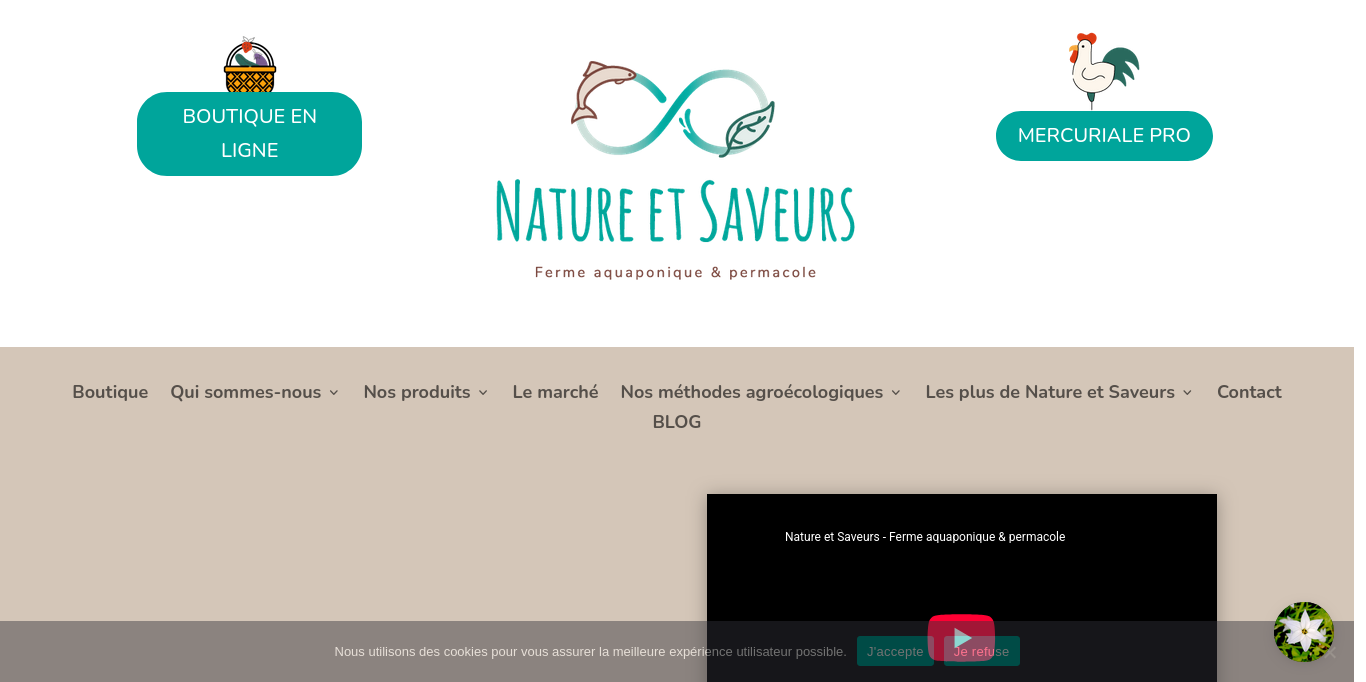 https://nature-et-saveurs.com/