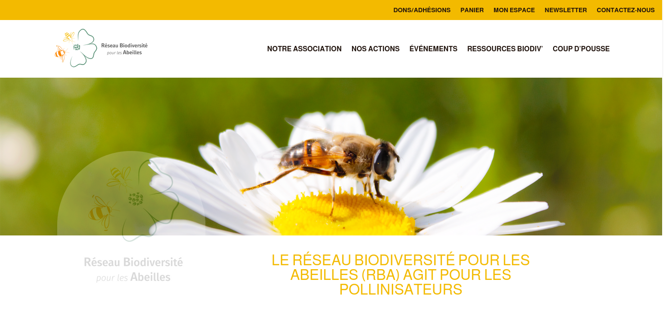 https://reseau-biodiversite-abeilles.fr/