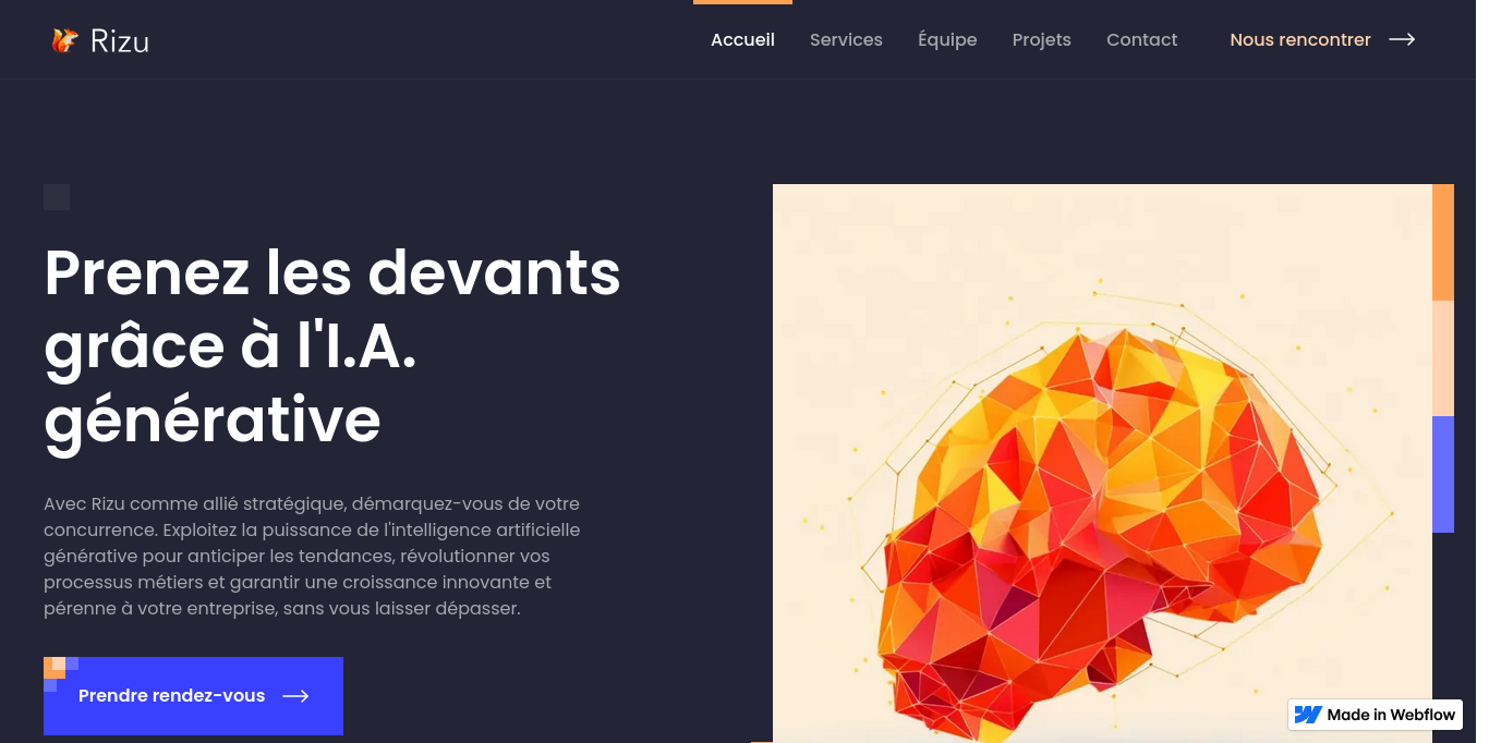 https://www.rizu.fr/