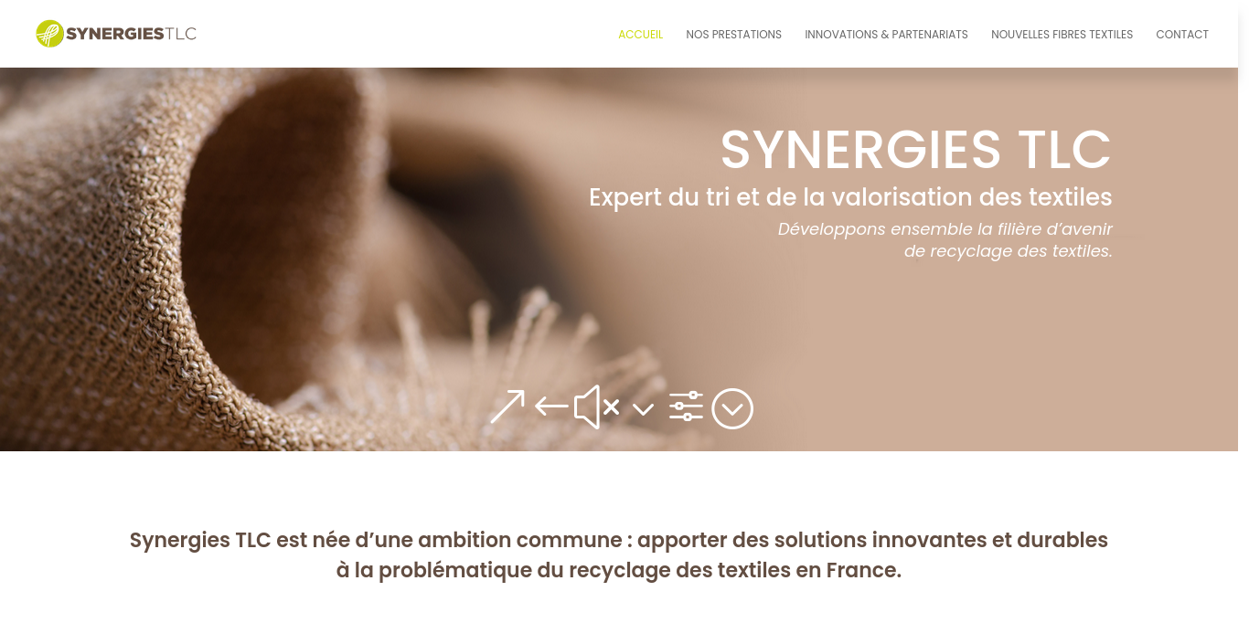 https://synergies-tlc.com/