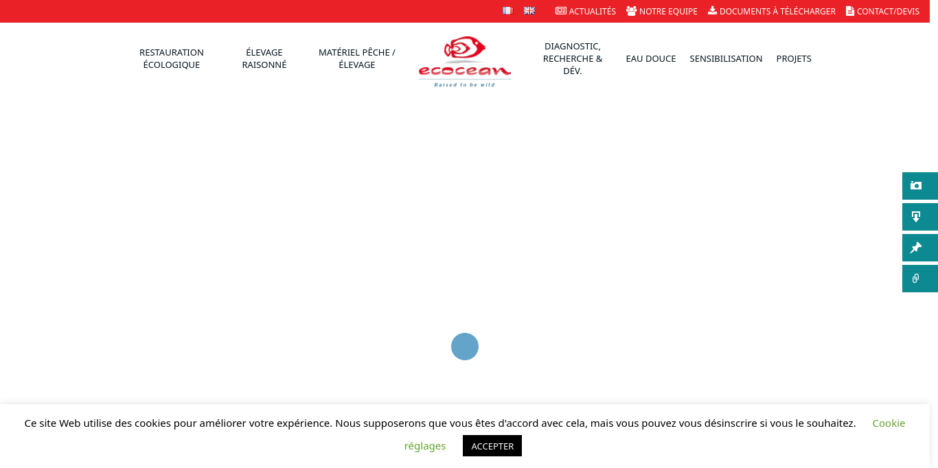 https://www.ecocean.fr/