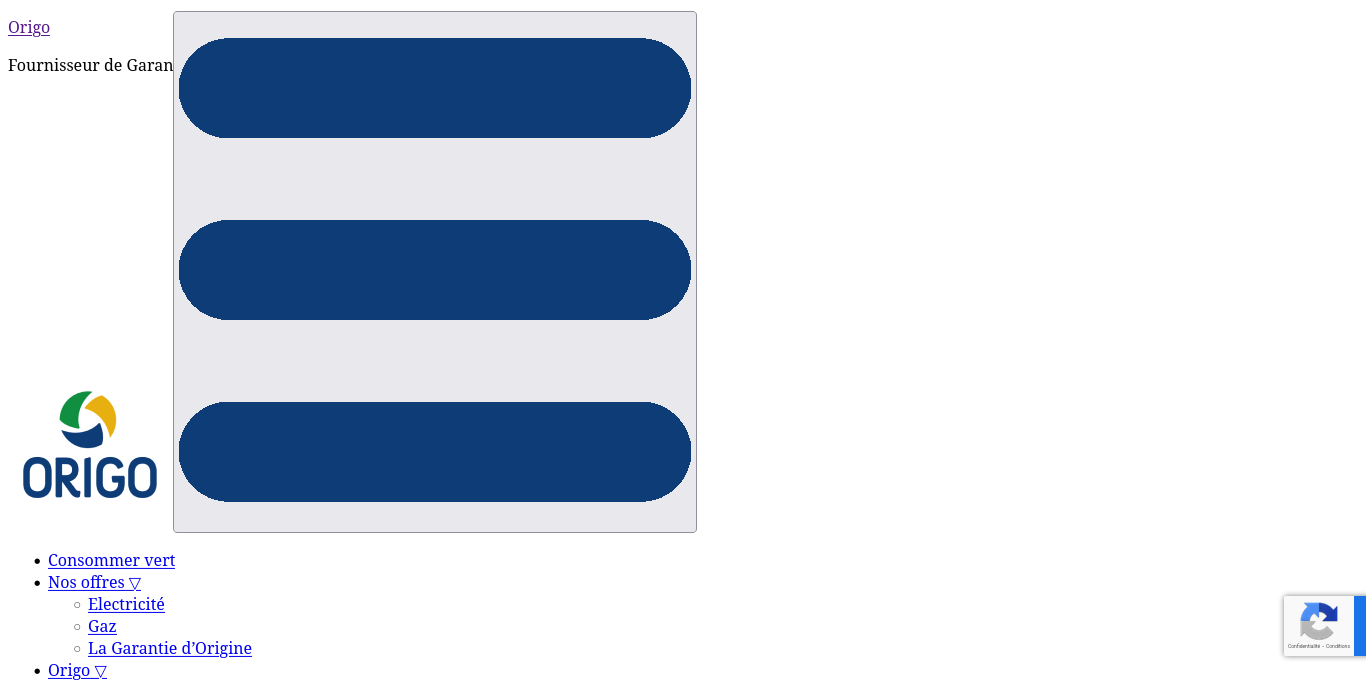 https://origo-renouvelable.com/fr/
