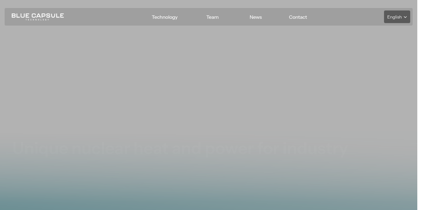 https://www.bluecapsule-technology.com/