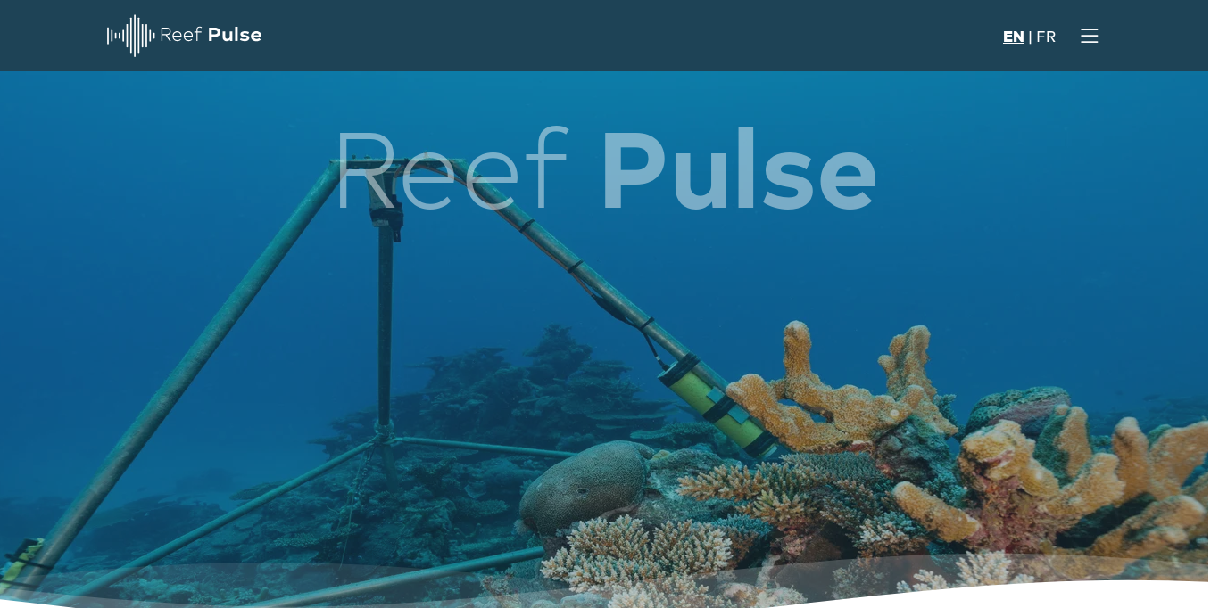https://reef-pulse.com/en/index.php