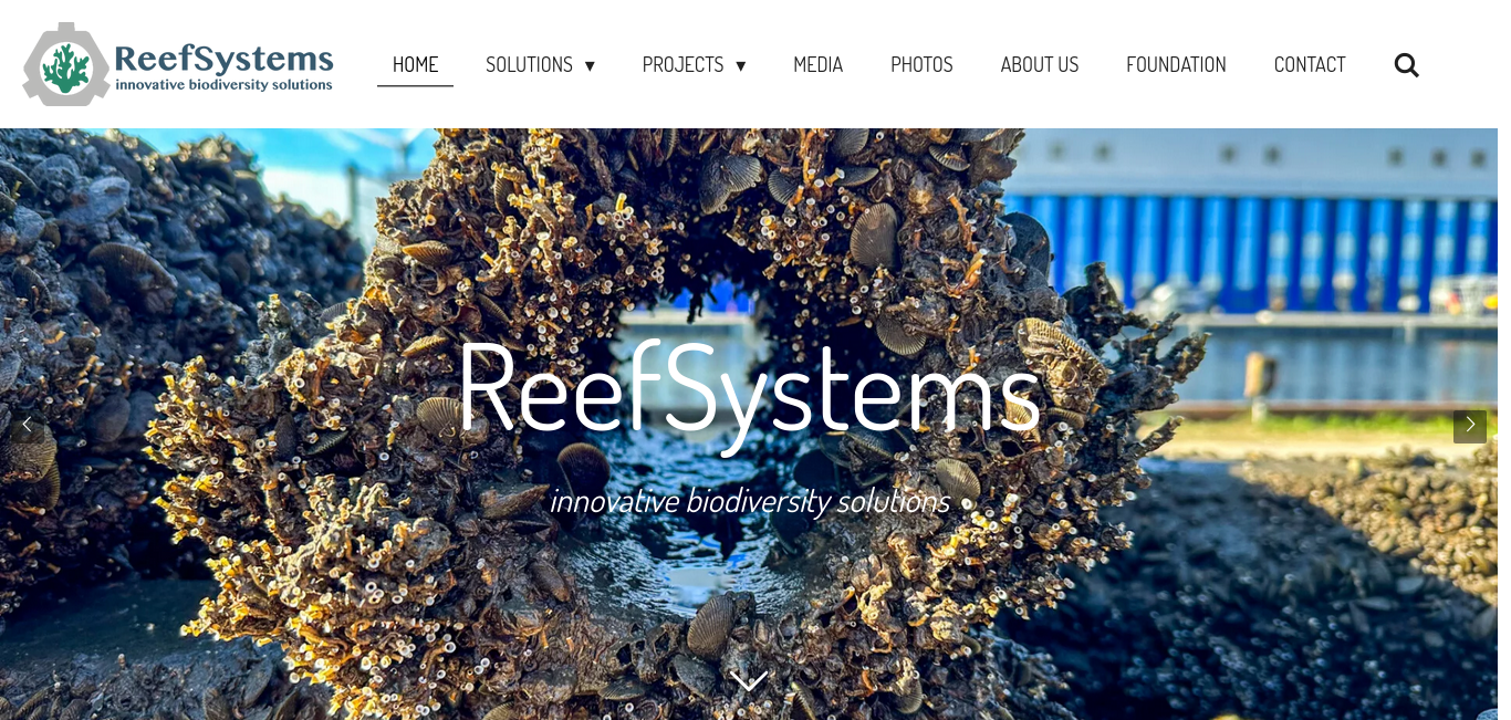 https://www.reefsystems.org/