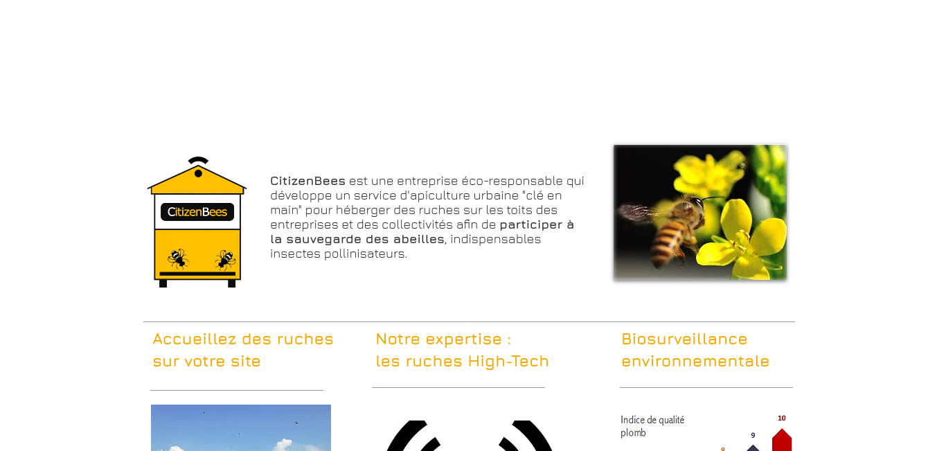 https://www.citizenbees.com/