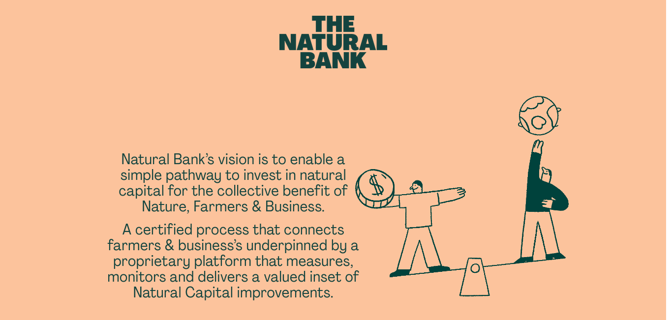 https://naturalbank.co/