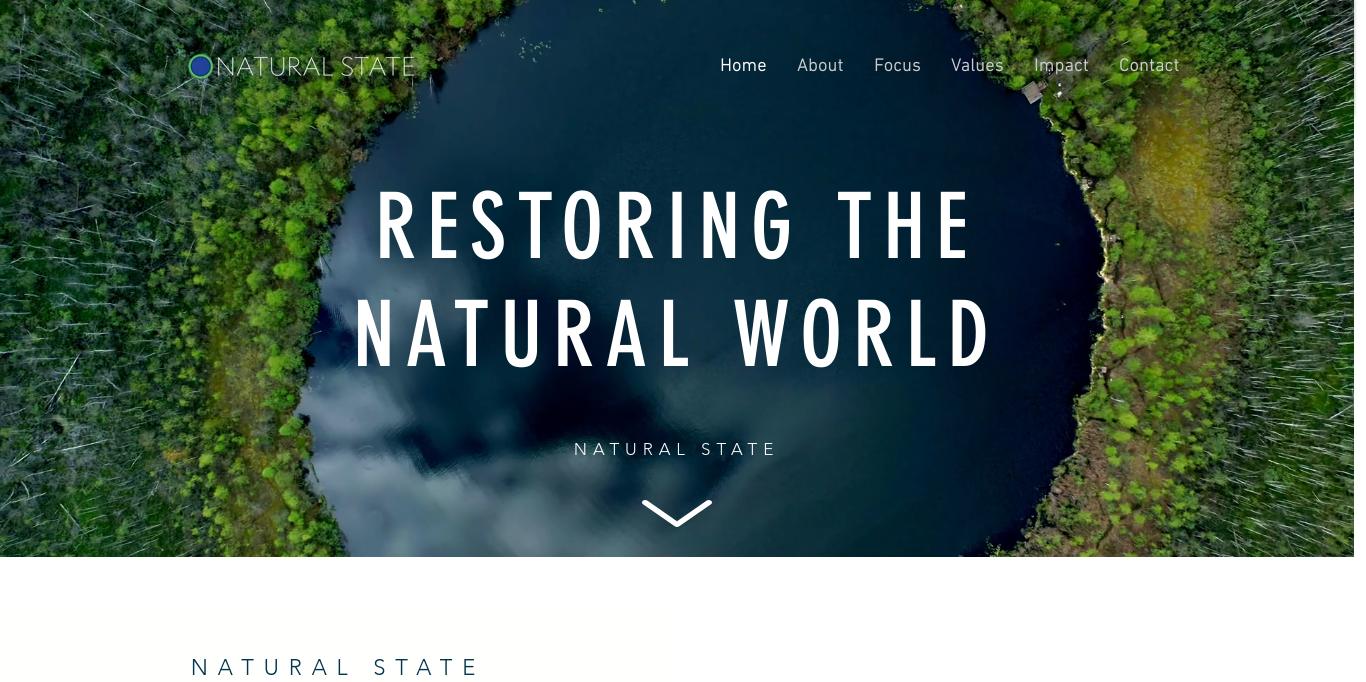 https://www.naturalstate.org/