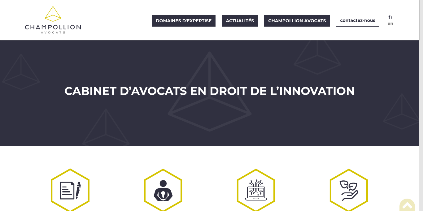 https://www.champollion-avocats.com/fr/