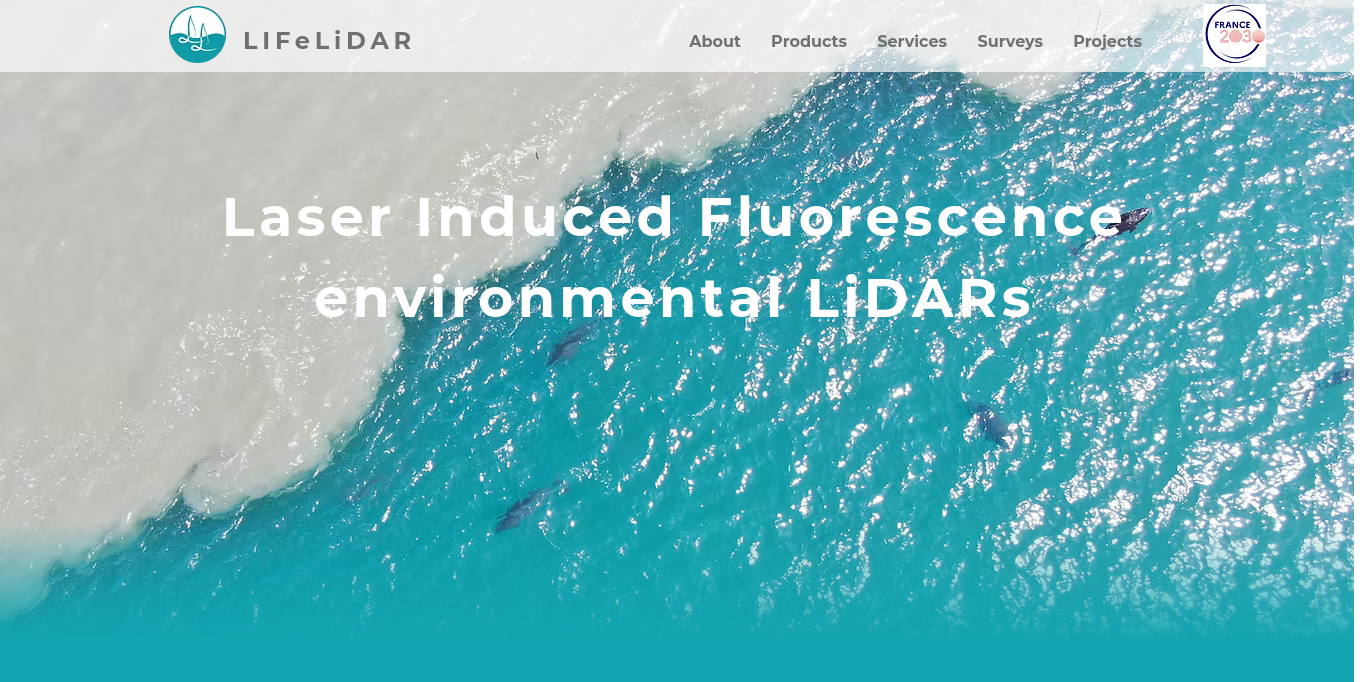 https://www.lifelidar.com/