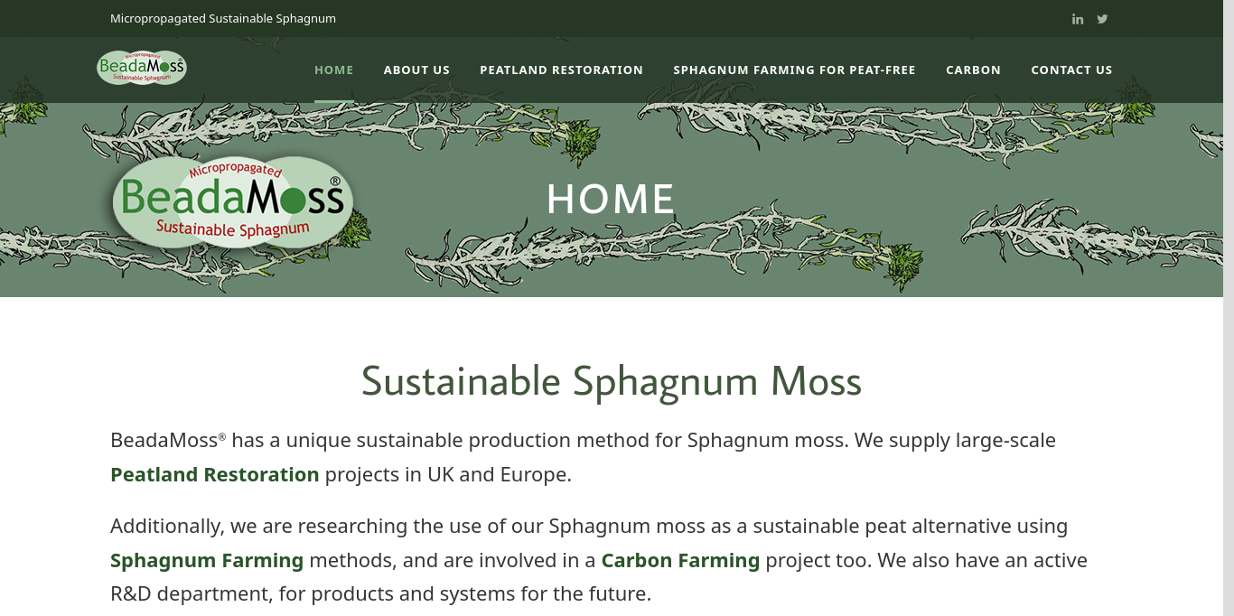 https://beadamoss.com/
