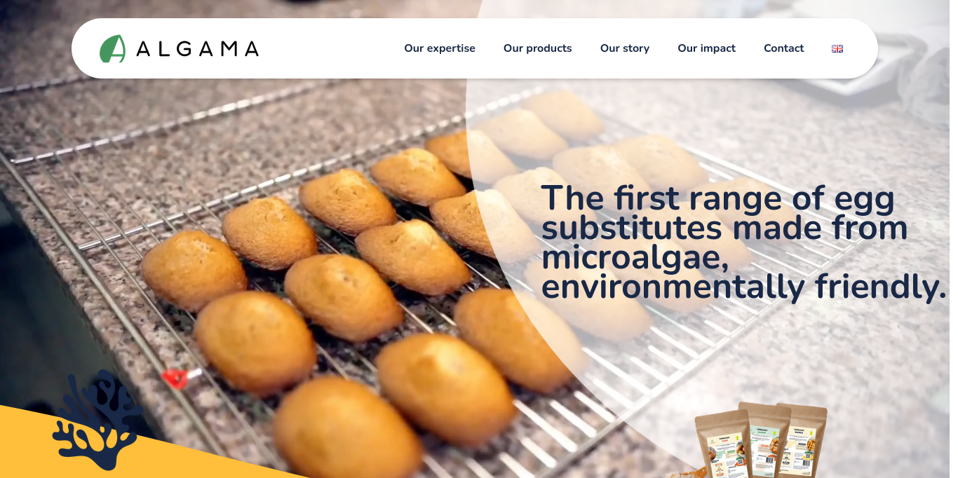 https://algamafoods.com/