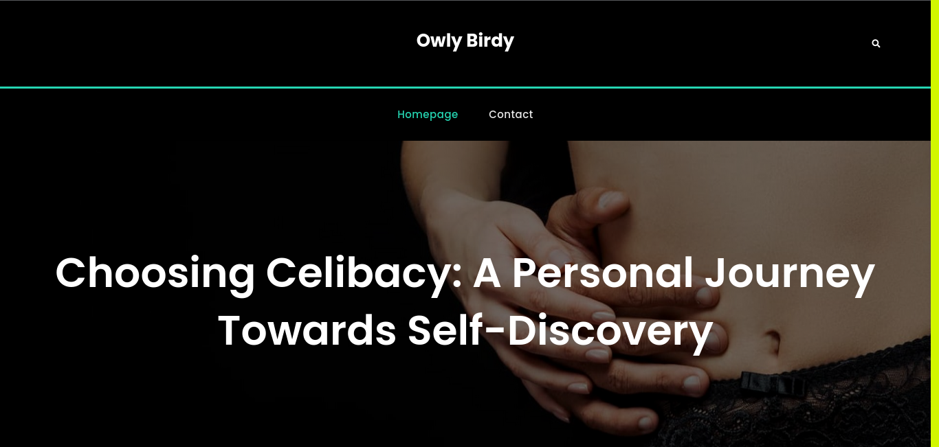 https://owlybirdy.com/