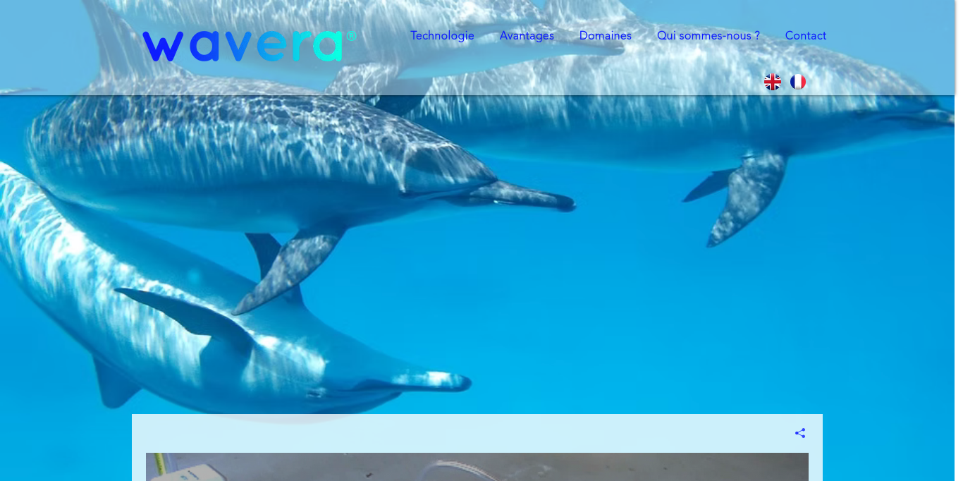 https://www.wavera.tech/