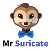Mr Suricate