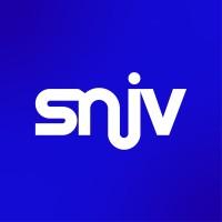 SNJV - Syndicat National du Jeu Vidéo
