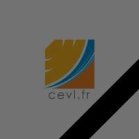 Club des Entreprises Villeneuve Loubet (CEVL)