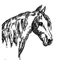 des cheval