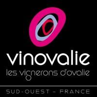 Vinovalie