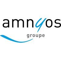 AMNYOS Consultants