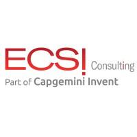 ECSI Consulting