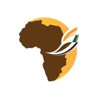 African Impact Initiative