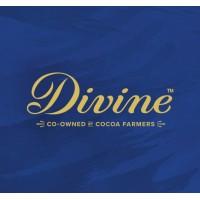 Divine Chocolate USA