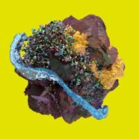 CHARGE - Powering Energy Brands