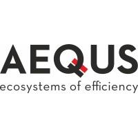 AEQUS AEROSPACE FRANCE