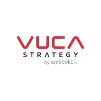 VUCA Strategy