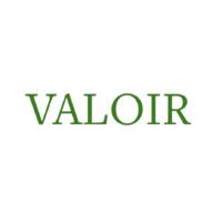 Valoir Inc