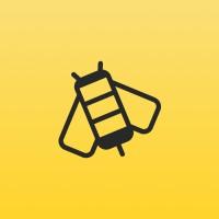 Streetbees