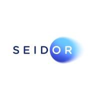 SEIDOR Africa