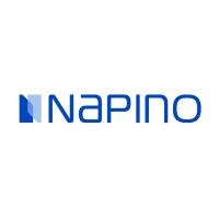 Napino Auto & Electronics Ltd