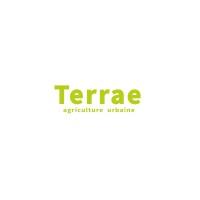Terrae