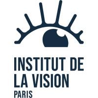 Institut de la Vision