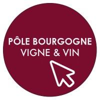 GIP PÔLE BOURGOGNE VIGNE ET VIN